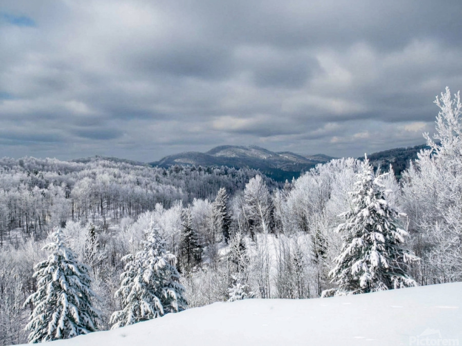 N.H. WINTER WONDERLAND 1 2026