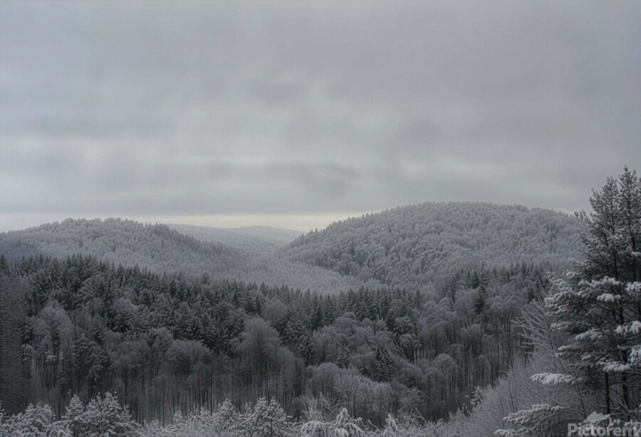 NH WINTER WONDERLAND 2 2026